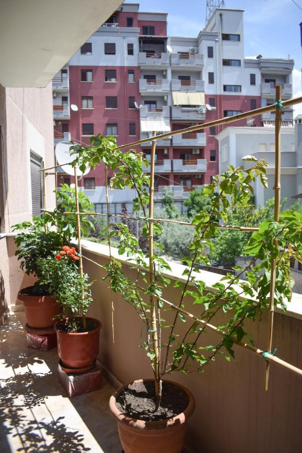 New Apartment Zoe Shkodër Екстериор снимка